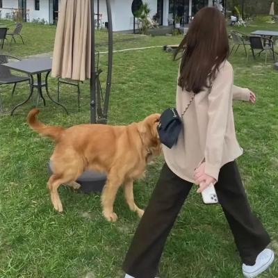 向毛主席汇报